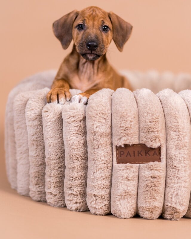 PAIKKA Orthopedic Plush Bed Round dog bed, taupe, decoration image