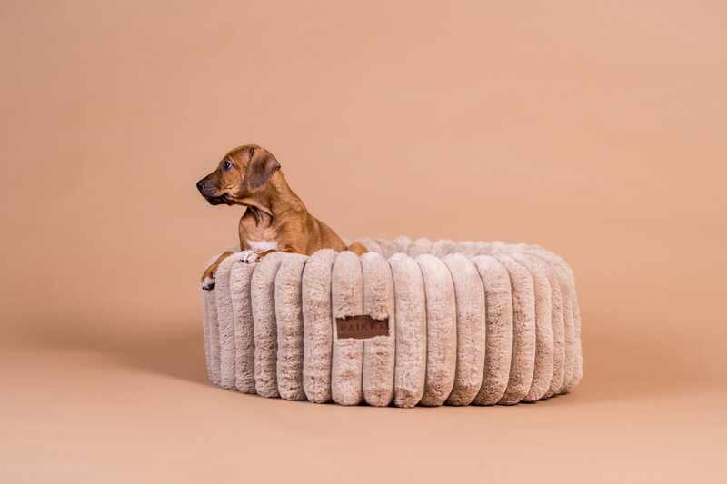 PAIKKA Orthopedic Plush Bed Round dog bed, taupe, decoration image