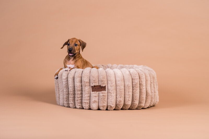 PAIKKA Orthopedic Plush Bed Round dog bed, taupe, decoration image