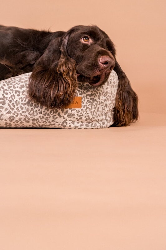 PAIKKA Bed Stone Leo dog bed, grey leopard, decoration image