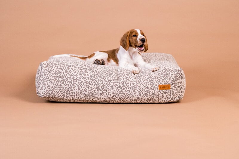 PAIKKA Bed Stone Leo dog bed, grey leopard, decoration image