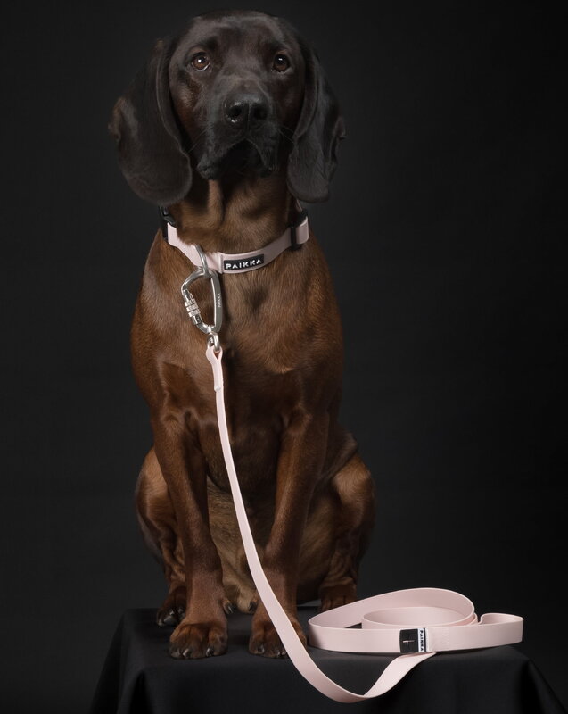 PAIKKA Glow leash, 2,5 x 180 cm, pale pink, decoration image