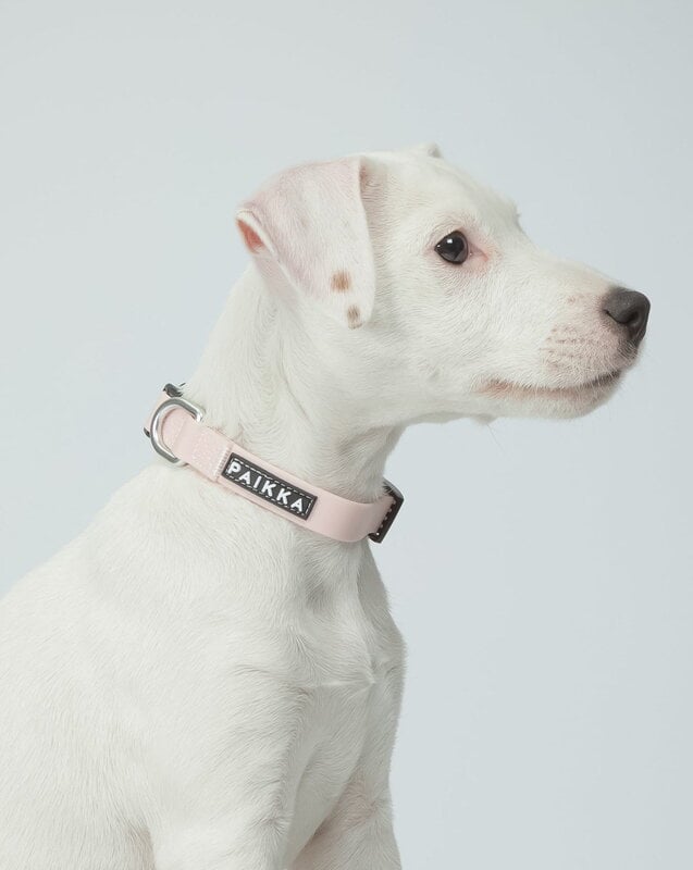 PAIKKA Glow collar, pale pink, decoration image