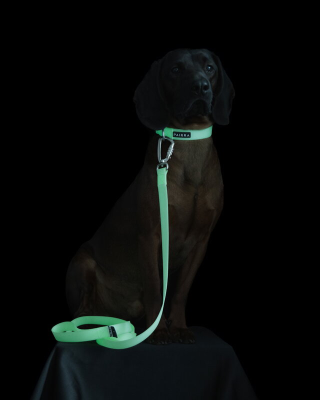 PAIKKA Glow collar, pale pink, decoration image