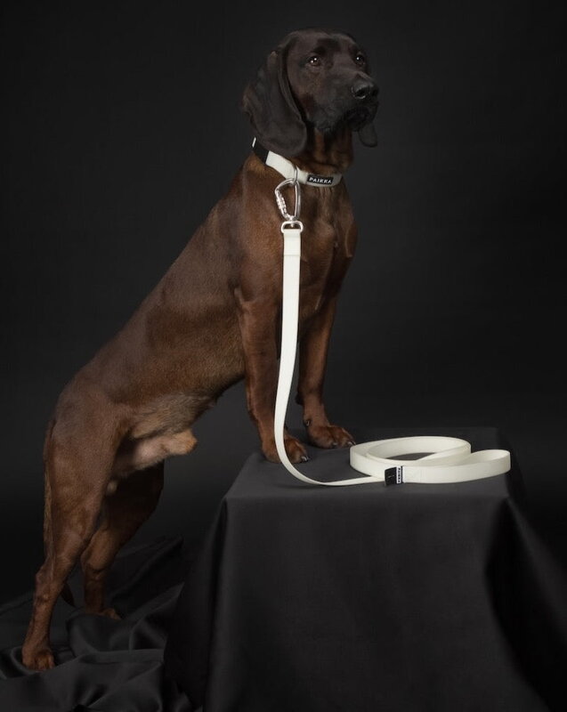 PAIKKA Glow leash, 2,5 x 180 cm, white, decoration image