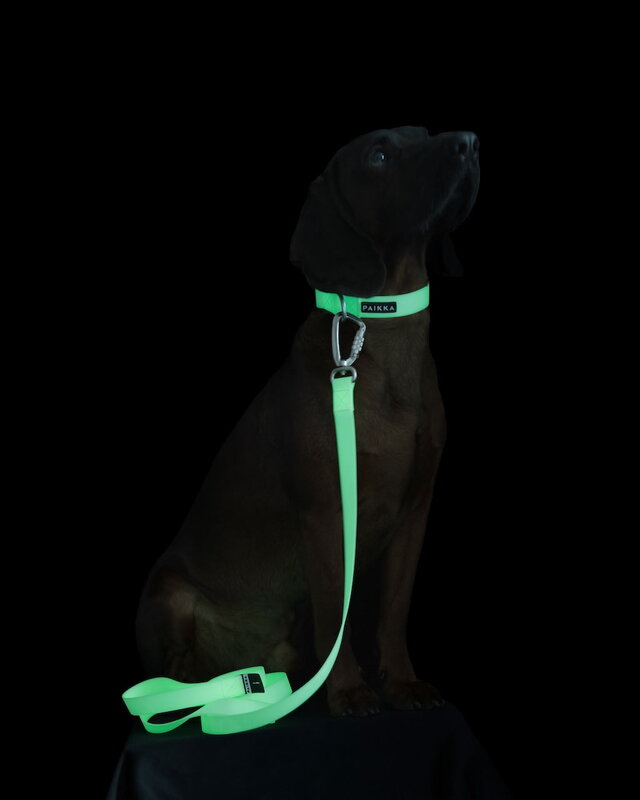 PAIKKA Glow leash, 2,5 x 180 cm, white, decoration image