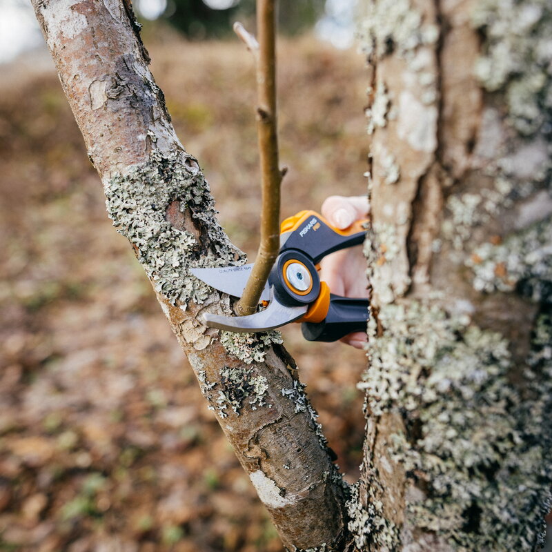 Fiskars X-Series pruner, bypass, M, P921, decoration image