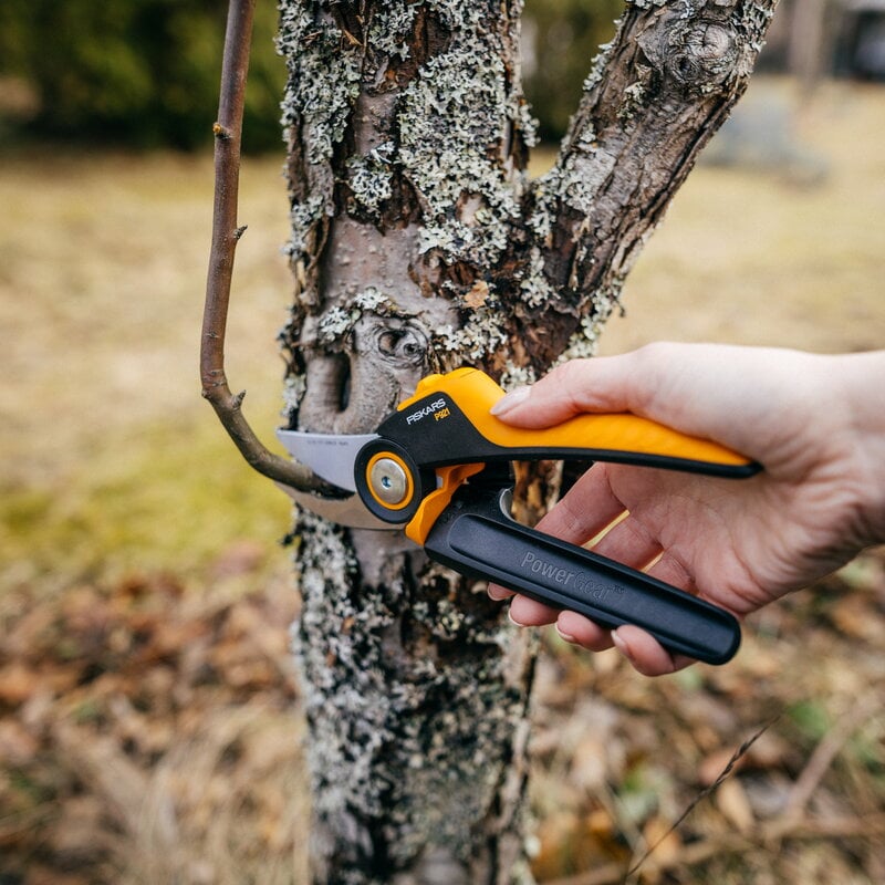 Fiskars X-Series pruner, bypass, M, P921, decoration image