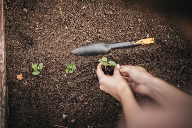 Fiskars Solid seed planting trowel, view 10