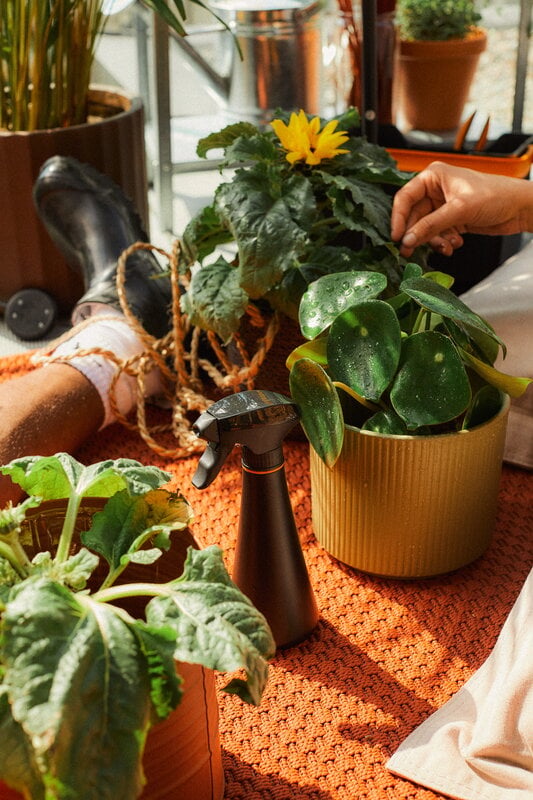Fiskars Plant mister spray bottle, 0,3 L, black - orange, decoration image