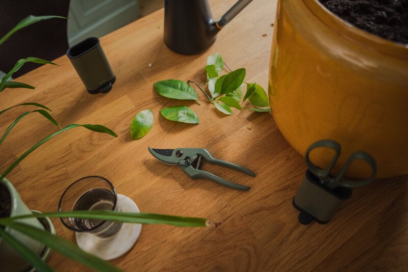 Fiskars Set completo per la cura delle piante, 3 pezzi, verde - nero, immagine decorativa