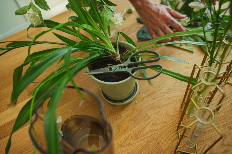 Fiskars Plant Care kasvisakset telineellä, vihreä - musta, sisustuskuva