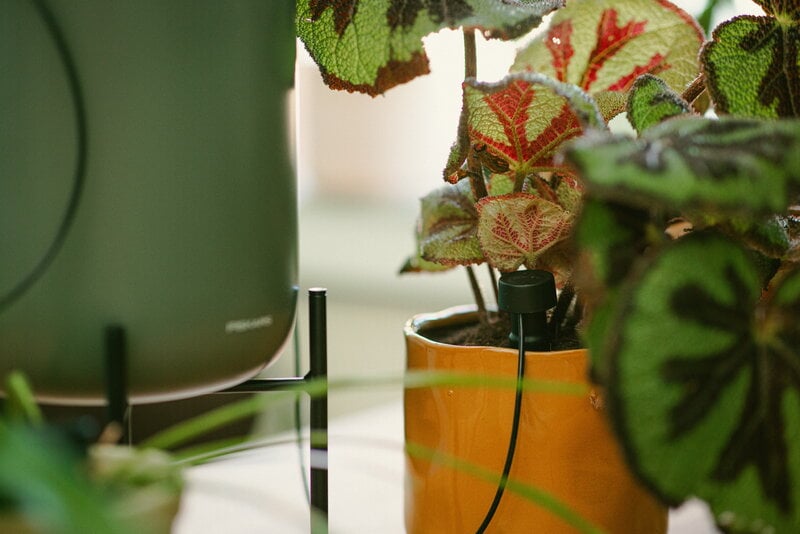 Fiskars Plant Care kasvien kastelujärjestelmä, vihreä - musta, sisustuskuva