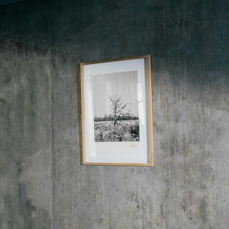 Fiskars LAB Fiskars LAB wall poster, 50 x 70 cm, Oak, decoration image
