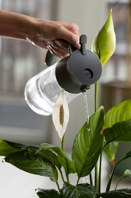 Fiskars Arrosoir Plant Care mist and pour, vert - transparent, image décorative