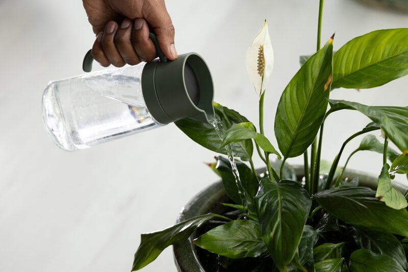 Fiskars Plant Care watering carafe, green - clear, decoration image