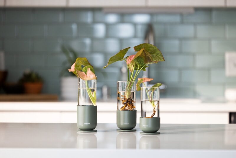 Fiskars Plant Care pistokkaiden idätyslasi, 3 kpl, vihreä - kirkas, näkymä 13