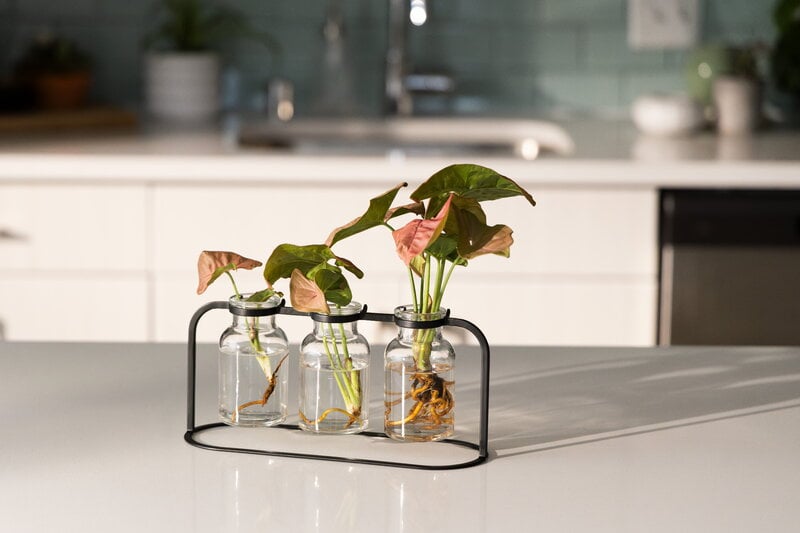 Fiskars Plant Care propagation station, green - black - clear, decoration image