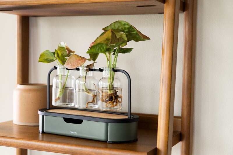 Fiskars Plant Care propagation station, green - black - clear, decoration image