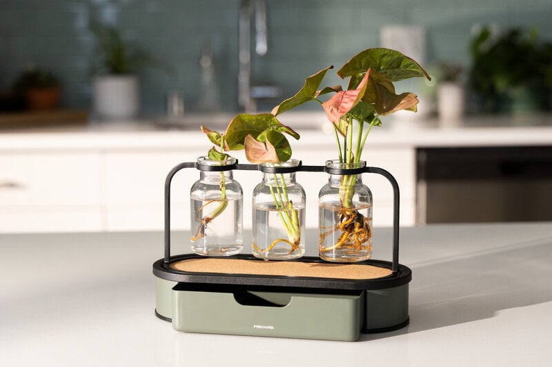 Fiskars Plant Care propagation station, green - black - clear, decoration image