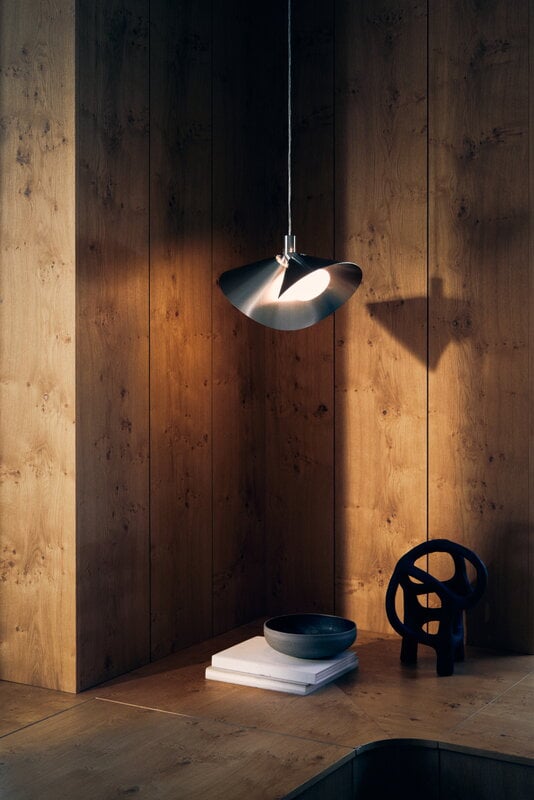 Frandsen Peel pendant, acero inoxidable cepillado, vista 2