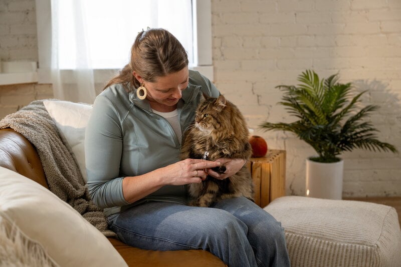Fiskars Fiskars small nail clippers for pets, decoration image