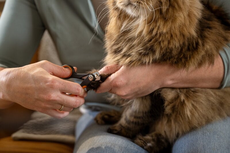 Fiskars Fiskars small nail clippers for pets, decoration image