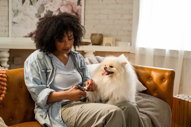 Fiskars Fiskars small nail clippers for pets, decoration image