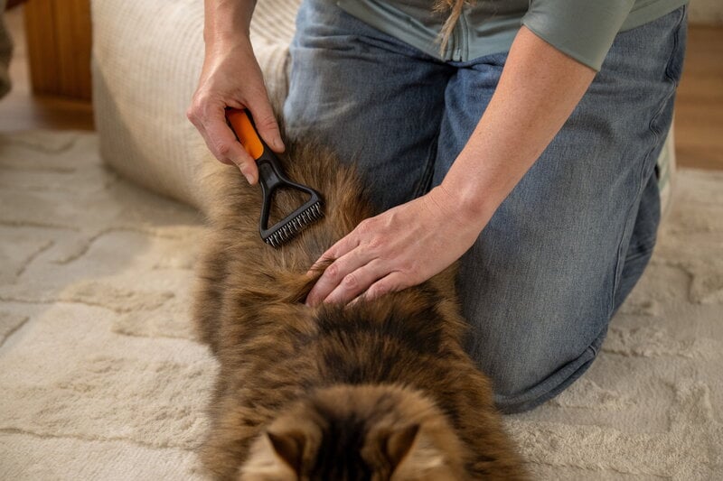 Fiskars Fiskars dematting rake for pets, decoration image