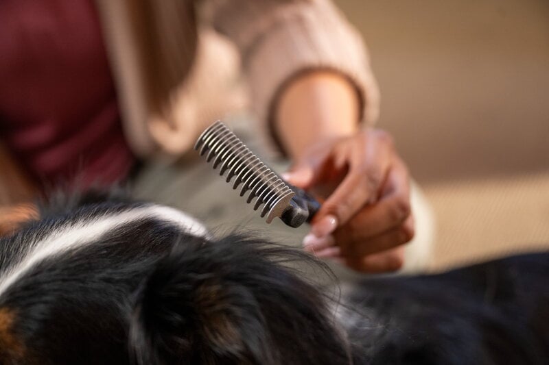 Fiskars Fiskars dematting rake for pets, decoration image