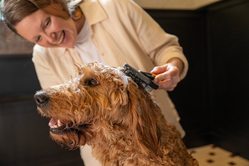 Fiskars Fiskars massage brush for pets, view 12