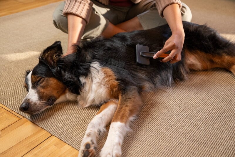 Fiskars Fiskars massage brush for pets, view 16