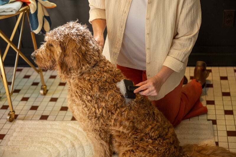 Fiskars Fiskars massage brush for pets, view 15