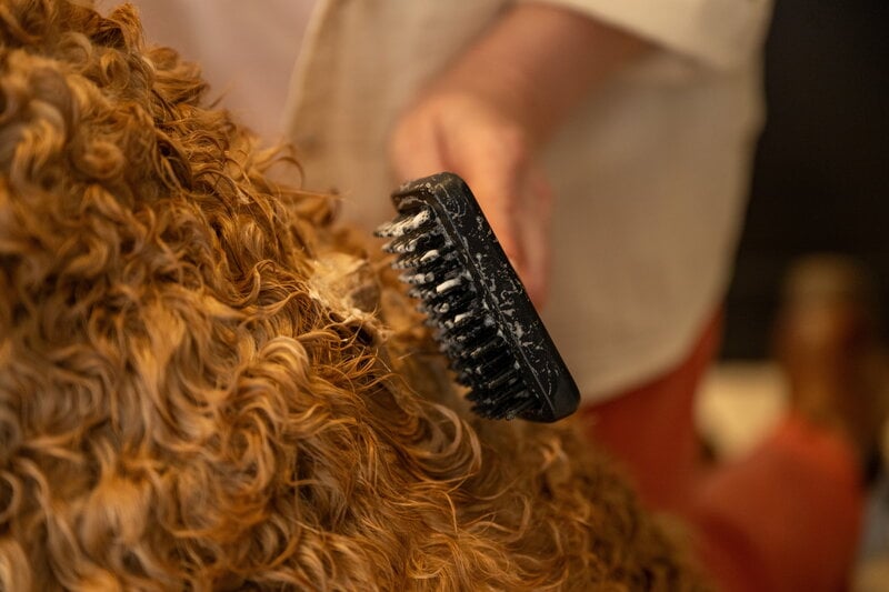 Fiskars Fiskars massage brush for pets, view 8