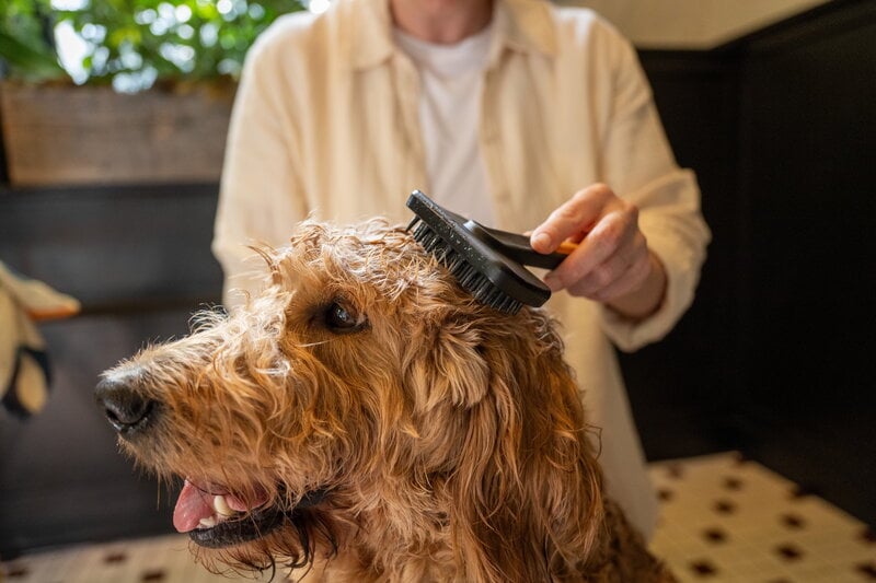 Fiskars Fiskars massage brush for pets, view 14