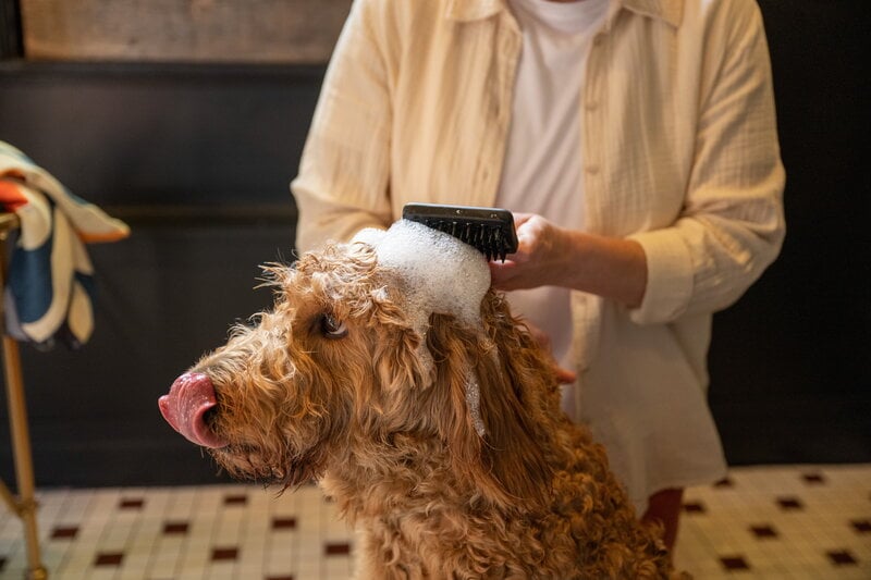 Fiskars Fiskars massage brush for pets, view 18