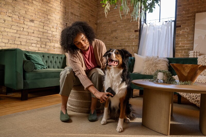 Fiskars Fiskars slicker brush for pets, decoration image