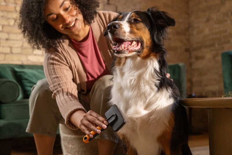 Fiskars Fiskars slicker brush for pets, decoration image