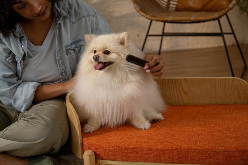 Fiskars Fiskars wide-tooth comb for pets, view 6