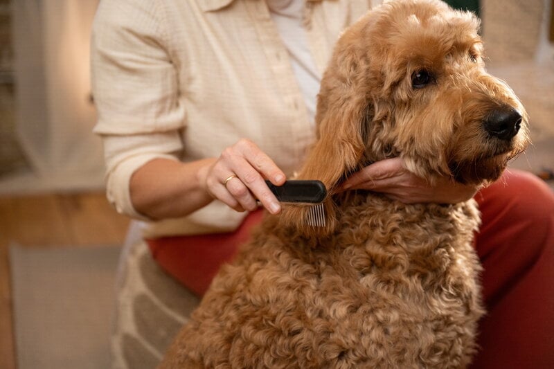 Fiskars Fiskars wide-tooth comb for pets, view 5