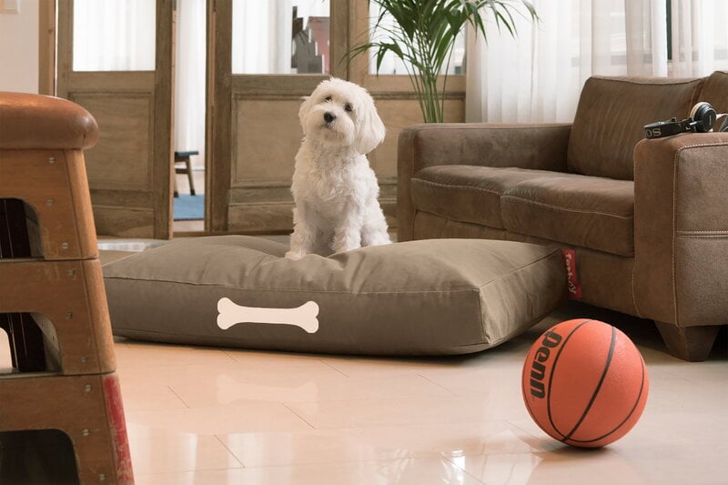 Fatboy Doggielounge, iso, recycled canvas taupe grey, sisustuskuva