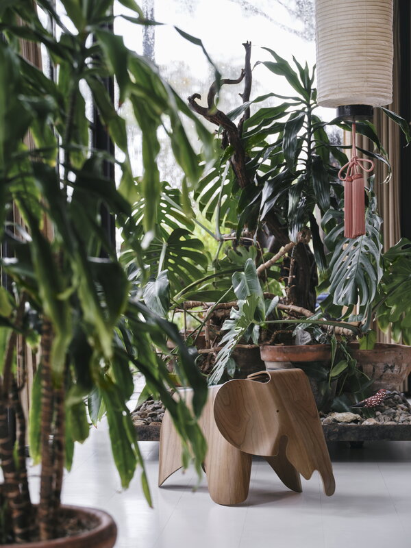Vitra Eames Elephant, compensato, noce, immagine decorativa