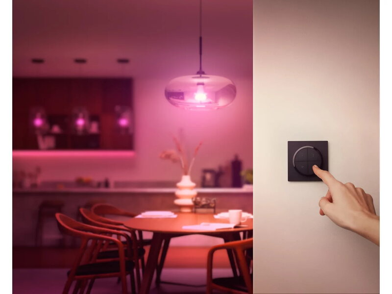 Philips Hue Tap Dial switch, black, decoration image