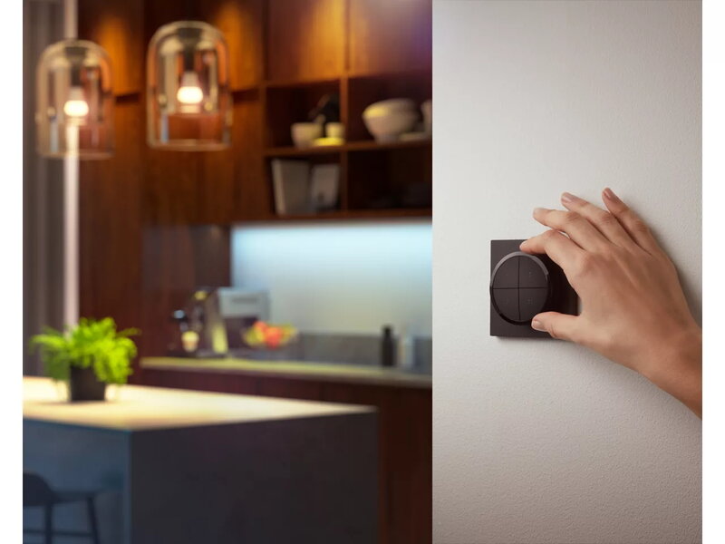 Philips Hue Tap Dial switch, black, decoration image