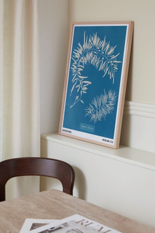 Louisiana Museum of Modern Art Anna Atkins - Sargassum plumosum 1843-1853, affiche A2, image décorative