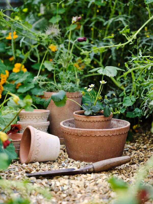 Bergs Potter Københavner flowerpot with saucer, 10 cm, 3-pack giftbox, raw rosa, decoration image