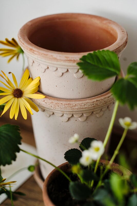 Bergs Potter Københavner Blumentopf mit Untersetzer, Raw Rosa, dekorationsbild
