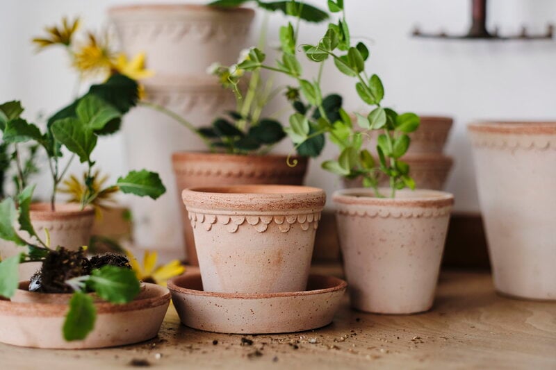 Bergs Potter Københavner Blumentopf mit Untersetzer, Raw Rosa, dekorationsbild