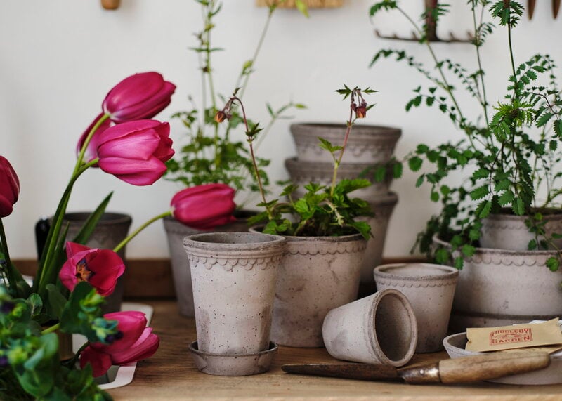 Bergs Potter Københavner Blumentopf mit Untersetzer, rohgrau, dekorationsbild