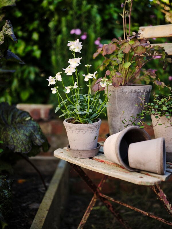 Bergs Potter Københavner Blumentopf mit Untersetzer, 10 cm, 3er-Geschenkbox, rohgrau, dekorationsbild